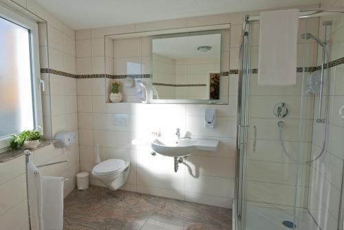 菲尔德施塔特Aristo Hotel的浴室配有卫生间、盥洗盆和淋浴。