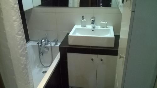 凯尔采Apartament Sandra的浴室配有水槽、淋浴和浴缸。