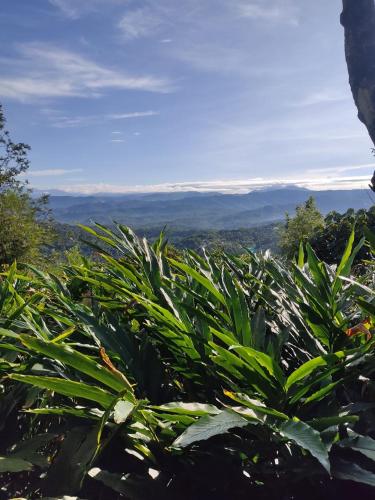 Valborga Mountain平面图