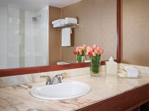 埃德蒙顿怀特瓦斯科纳酒店的浴室设有水槽和粉红色花瓶