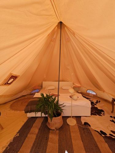 伊莫茨基Glamping Imotski的帐篷,里面装有床和植物