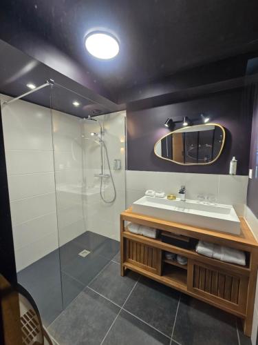 科利豪特根特庄园酒店的一间带水槽和淋浴的浴室