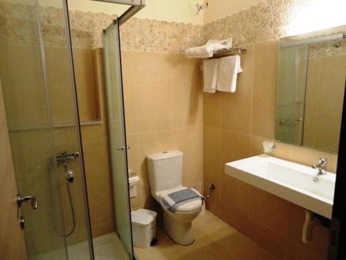 弗赖加兰诺美景公寓的浴室配有卫生间、盥洗盆和淋浴。