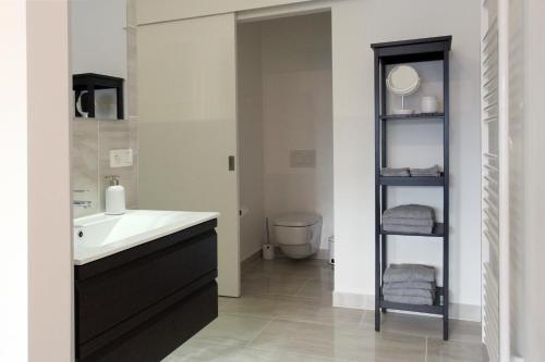 布鲁塞尔Parc Brussels Apartment的一间带水槽和卫生间的浴室