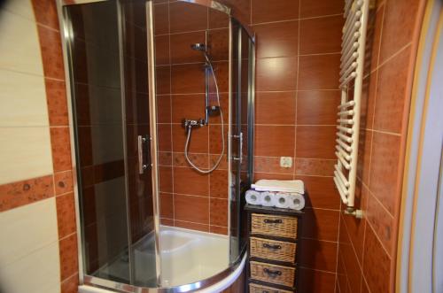 什切青Apartament Classic的带淋浴的浴室和玻璃门