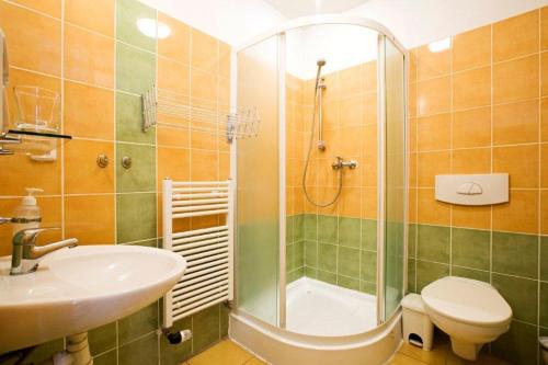 日恰尼奥扎察尼酒店的带淋浴、盥洗盆和卫生间的浴室