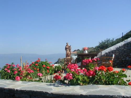 伊兹拉Hydra Erato的花卉花园中的雕像