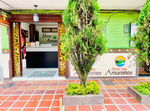 瓜塔佩Araucarias Hotel Guatapé的前面的商店,前面有棵树