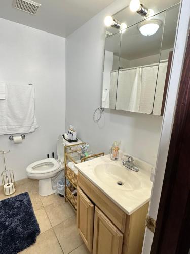 芝加哥Luxury 2 bed 2 bath in Chicago with free parking的一间带水槽、卫生间和镜子的浴室