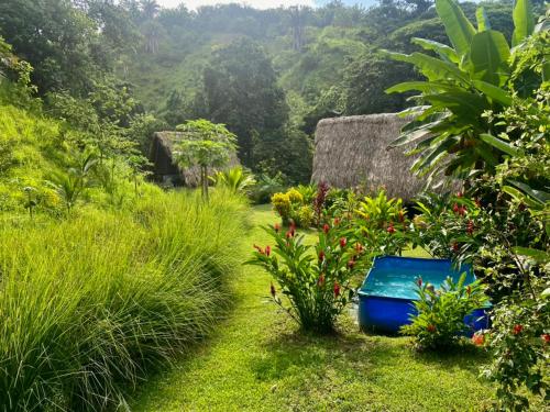 伯里塔卡Canto Tayrona Ecolodge的草上有一个蓝色盒子的花园