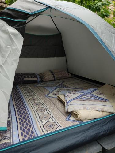 camping with sauna