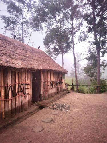 Hagen Lodges - Kondiu Waterfall Tribe的一座在建筑的一侧涂有涂鸦的旧建筑