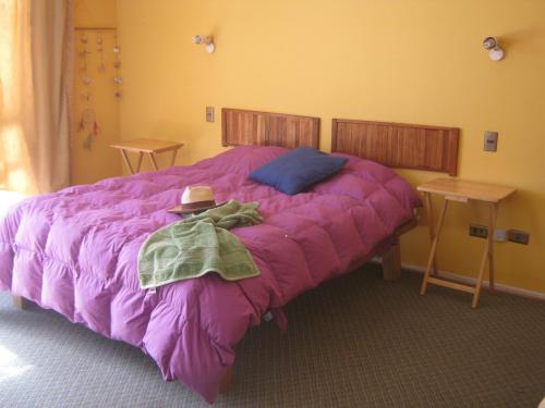 拉塞雷纳Cabañas Caleta San Pedro的一张带紫色毯子和帽子的床