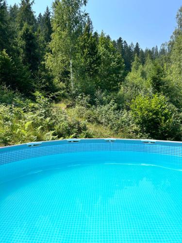 米库利钦Respect的森林中央的游泳池