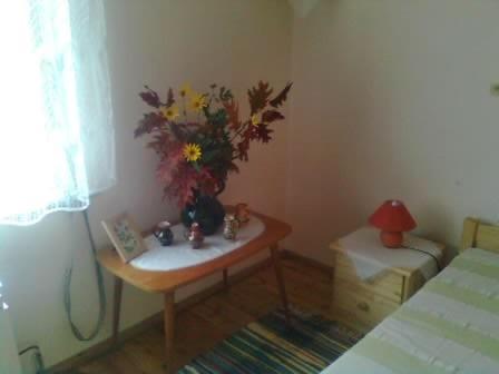 MátraderecskeMuskátlis vendégház的一间设有花瓶桌子的房间