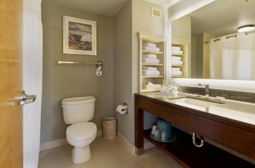 沃里克华威普罗维登斯机场快捷假日酒店及套房的一间带卫生间和水槽的浴室