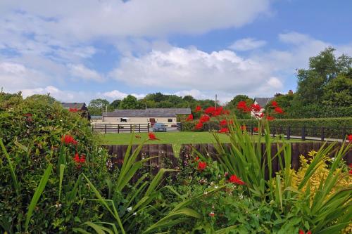 Beautiful newly converted barn in St Hilary平面图