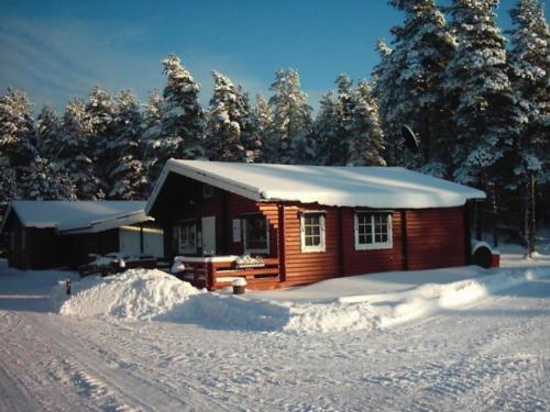 穆尔舍姆尔斯吉营地酒店的雪中的小小屋,有雪覆盖的树木