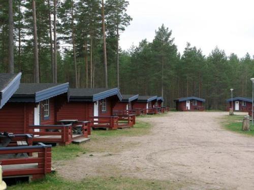 穆尔舍姆尔斯吉营地酒店的一组小屋被排在森林里