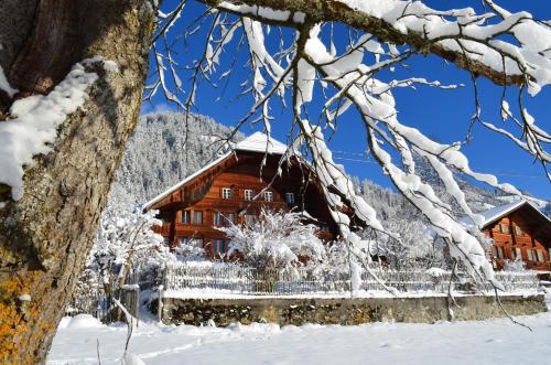 Swiss Mountain-Valley View Lodge