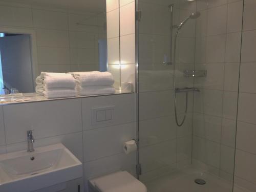 普朗然阿尔贝其普拉金斯酒店的带淋浴、卫生间和盥洗盆的浴室