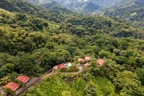 乌维塔Nature's Edge Boutique Hotel的森林中间房屋的空中景观