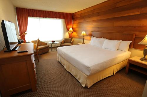 七岛市七岛市总督酒店的酒店客房,配有床和电视