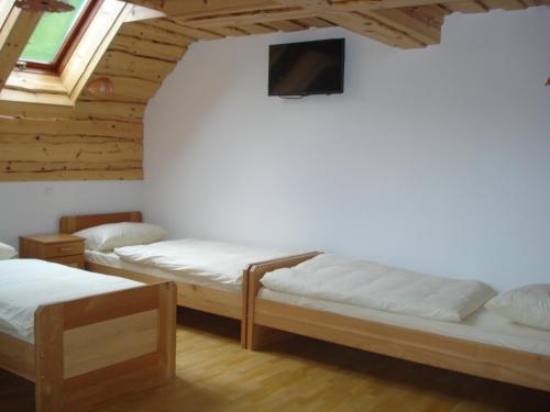 卢斯Farmstay Hiša Pečovnik的客房设有两张床和一台墙上的电视。