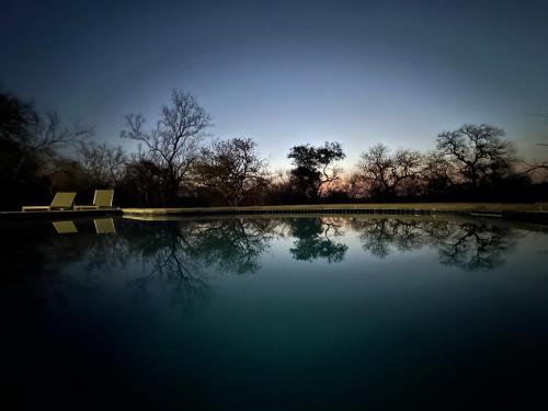 侯斯普瑞特Oase by 7 Star Lodges - Greater Kruger Private 530ha Reserve的树前有两长椅的水池