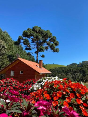 Chalés Canto da Serra