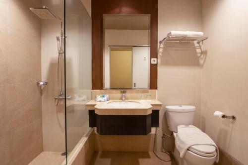 玛琅索拉斯玛琅酒店的一间带水槽、卫生间和镜子的浴室