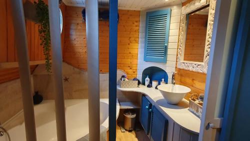 Plombières-lès-DijonPENICHE ONDINE的一间带水槽和镜子的小浴室