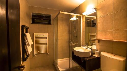 阿列谢尼伊亚拉酒店的一间带水槽和淋浴的浴室