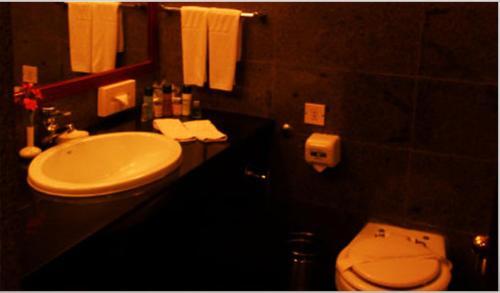 新德里阿肖克乡村度假酒店的浴室配有白色水槽和卫生间。