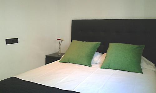 马略卡岛帕尔马君悦公寓 - 仅成年人的一间卧室配有一张带绿色枕头的床