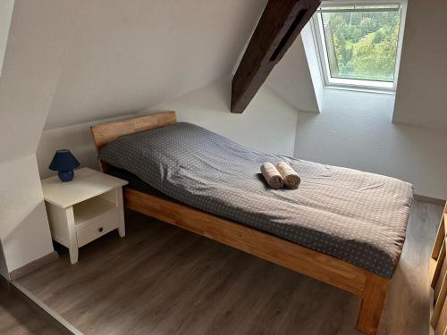 瓦森Ferienregion Andermatt - Wohnung in Wassen的一间卧室,床上有两双鞋