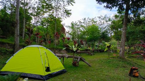 Genius Level Only Camp