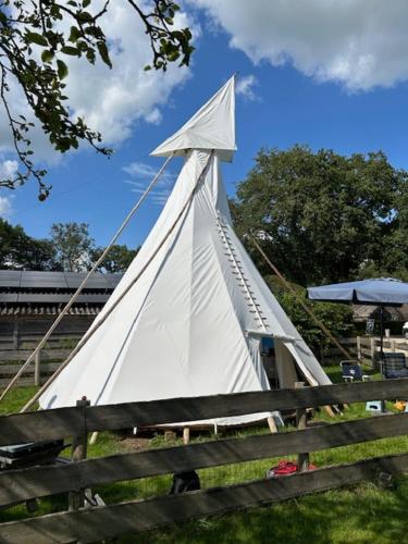 Tipi tent