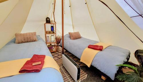 勒丁恩The perfect stop - Glamping Lavvo的客房内帐篷内的两张床