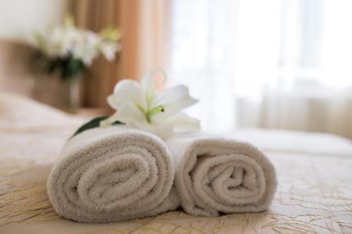 阿普苏奇耶姆斯Hotel SPA Arkadia的几条毛巾坐在床上