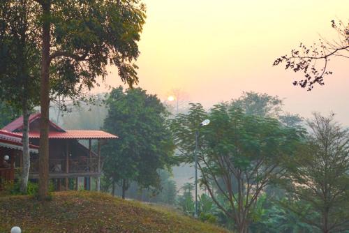 塞友BaanRai KhunYa บ้านไร่คุณย่า的一座树冠茂密的山顶上的建筑