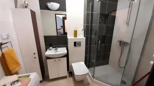 克拉科夫Apartament的带淋浴、卫生间和盥洗盆的浴室
