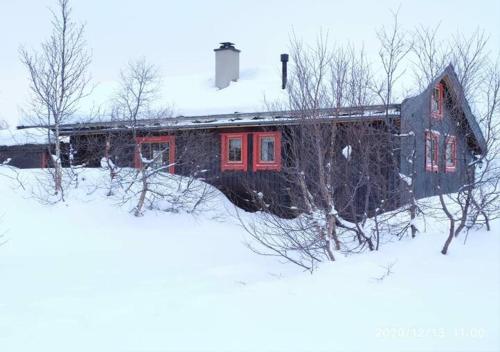 VågsliHaukeli Mountain Cabin的雪中带红色门的小木屋