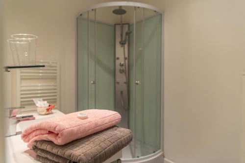 凯泽贝尔Chez Daniel的浴室设有玻璃淋浴间和粉红色毛巾