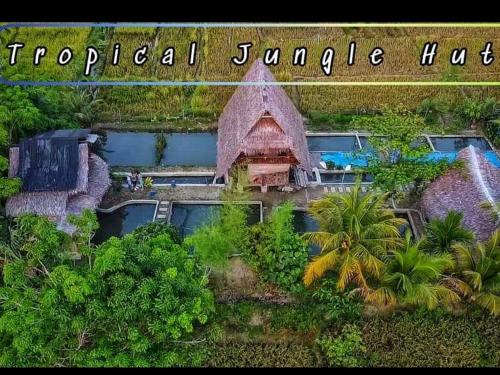 武吉拉旺Tropical Jungle lodge & Jungle trekking的丛林中度假村的空中景观