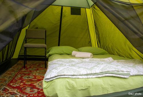 Tereza glamping