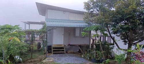 太平Bukit Limau rest house Merbau的前面有一棵树的小白色房子