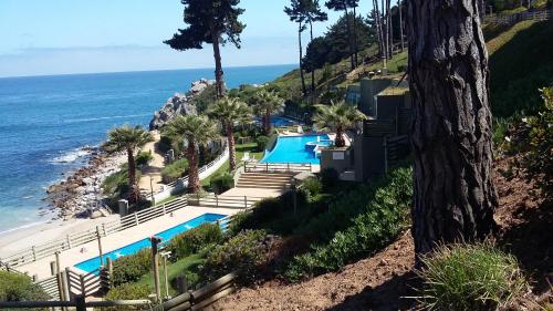 阿尔加罗沃Algarrobo Apartment的享有海洋旁游泳池的空中景致