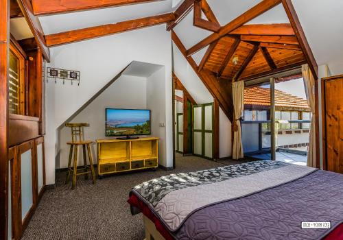 提比里亚美丽湖景木屋公寓的一间卧室配有一张床和一台平面电视