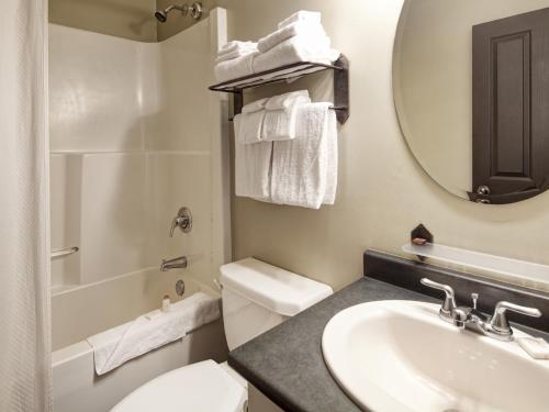 潘诺拉马Panorama Mountain Resort - Premium Condos and Townhomes的一间带水槽、卫生间和镜子的浴室